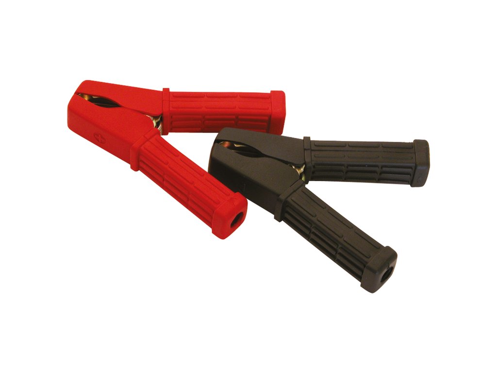 Carpoint Pinces pour bornes de batterie Carpoint 100A
