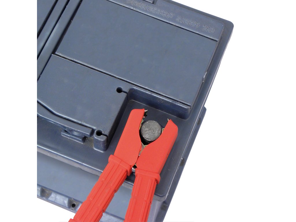 Carpoint Pinces pour bornes de batterie Carpoint 100A