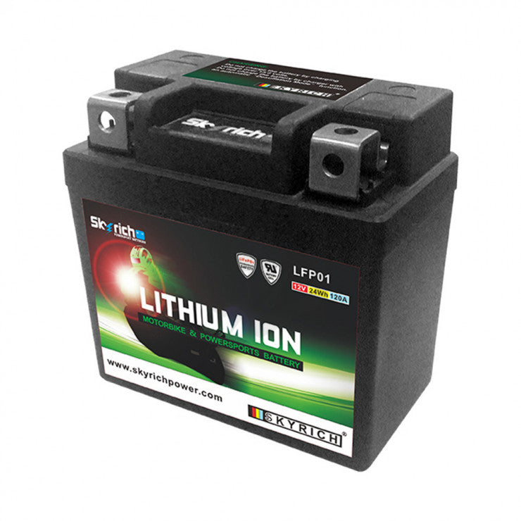 BATTERIE LITHIUM LFP01